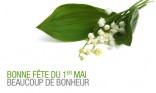 1er mai