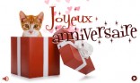 Joyeux anniversaire - Chat
