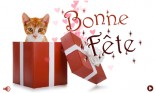 Bonne fête - Chat