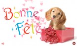 Bonne fête - Chien