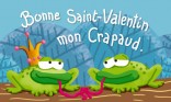 Bonne Saint Valentin mon crapaud
