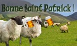 Joyeuse Saint Patrick
