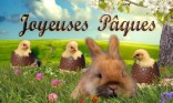 Joyeuses Pâques