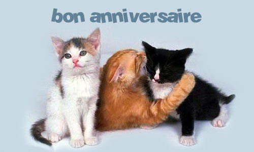 Aperçu de la carte : Bon anniversaire, mon chaton !