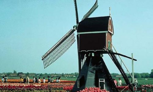 Aperçu de la carte : Moulin hollandais