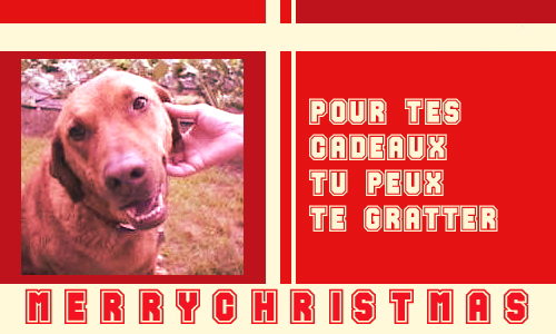 Tu peux te gratter !