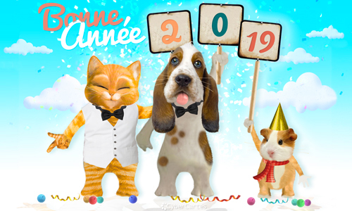 carte nouvel an 2018 anime