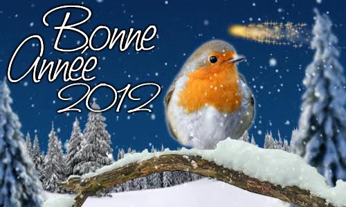 Bonne Ann�e - oiseau