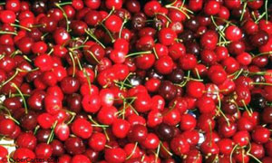C'est le temps des cerises !