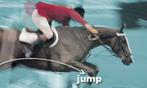 Equitation