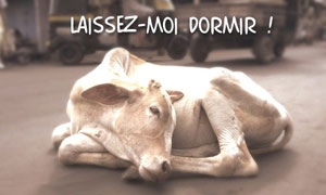 Dormir !