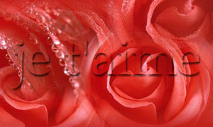 Je t'aime