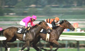 Chevaux de course