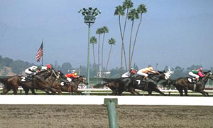Course hippique