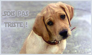 Sois pas triste !