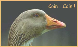 Coin...Coin !