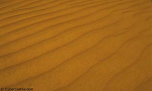 Sable