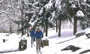 Ski de fond