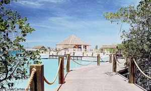Bungalows sur l'eau