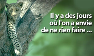 Ne rien faire !