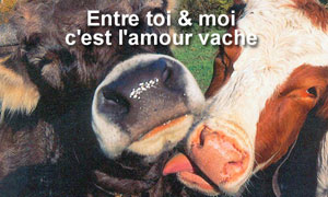 L'amour vache