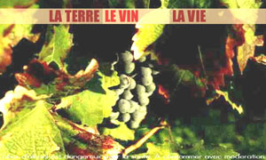 La terre, le vin..