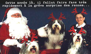 Joyeux Noël !