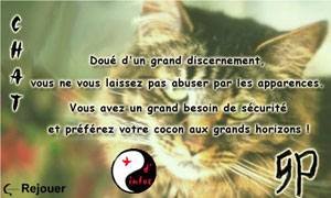 Chat