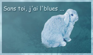 Sans toi, j'ai l'blues !