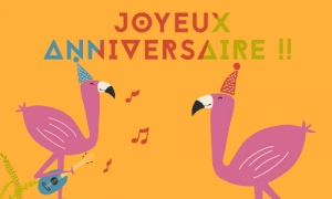 Les flamants roses dansent pour toi !