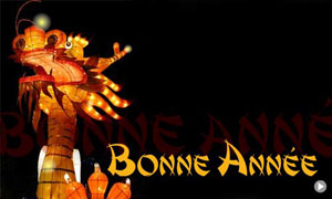 Bonne année