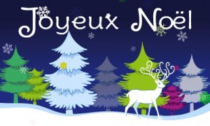 Noël en forêt
