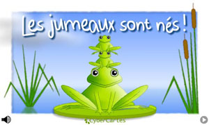Les jumeaux sont nés
