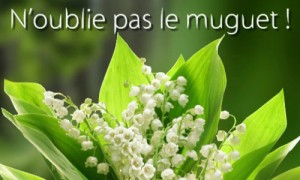 Muguet de mai