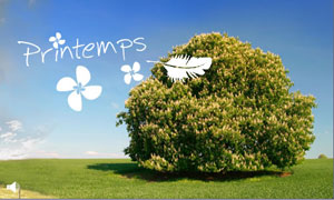 Printemps
