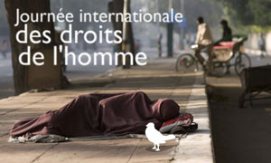 Droits de l'homme