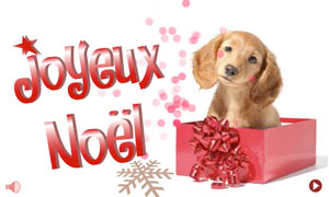 Joyeux Noël - Chien