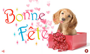 Un cadeau petit chien