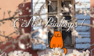 C'est le printemps