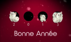 2, 0, 1, 3 chatons