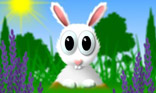 Lapin