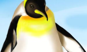 Pingouin