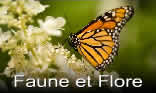 Faune et Flore