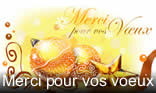 Merci pour vos voeux
