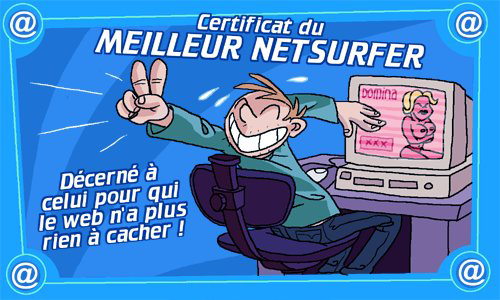 Certificat du netsurfer
