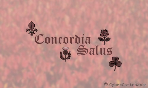 Aperçu de la carte : Concordia Salus