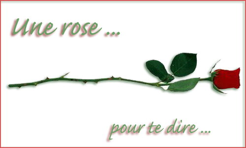 Une rose pour te dire ...