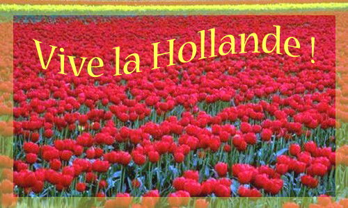  Aperçu de la carte : Vive la Hollande !