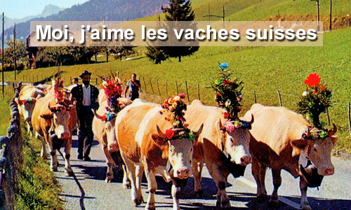 Aperçu de la carte : Vaches suisses