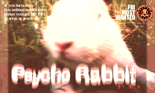 Aperçu de la carte : Psycho rabbit